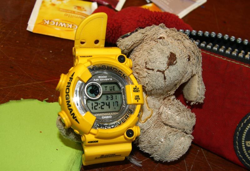 50 Gs: G-Shock #46: Men In Yellow Frogman